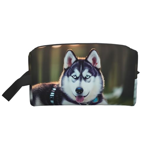 Husky Hunde-Aufbewahrungstasche, kleine Make-up-Tasche für Geldbörse, Reise-Make-up-Tasche, Mini-Kosmetiktasche für Herren, Husky-Hund, Einheitsgröße von MDATT