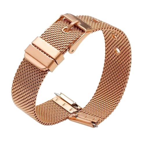 MGHN 18mm 20mm 22mm Edelstahl Schnellverschluss Metall Armband Uhrengürtel Flachkopf Universal Dornschließe mit Werkzeug (Color : Rose gold, Size : 22mm) von MGHN