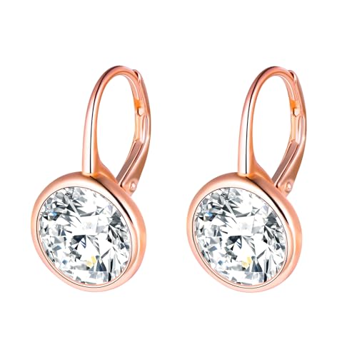 MOOFUN Großer Zirkon Ohrhänger Silber 925 Ohrringe Hängend Damen Ohrringe Creolen Ohrring Rosegold Ohringe Ohrschmuck für Mama Freundin Teenager Mädchen Schwester Frauen Geschenk Geburtstagsgeschenk von MOOFUN