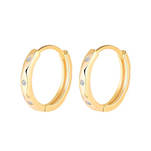 MOOFUN Mehrfisch Ohrringe Silber 925 Creolen Klein 10mm Ohrring Damen Ohrringe mit Zirkonia Ohringe Gold Ohrschmuck für Mama Freundin Teenager Mädchen Schwester Frauen Geschenk Geburtstagsgeschenk von MOOFUN