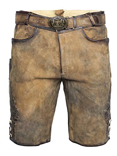 Maddox Lederhose kurz Faelo zirbe antik | Weiches Ziegenvelour-Leder | Kurze Herren-Lederhose mit Reißverschluss und Gürtel | Gute Qualität (DE/NL/SE/PL, Numerisch, 58, Regular, Regular, zirbe antik) von Maddox