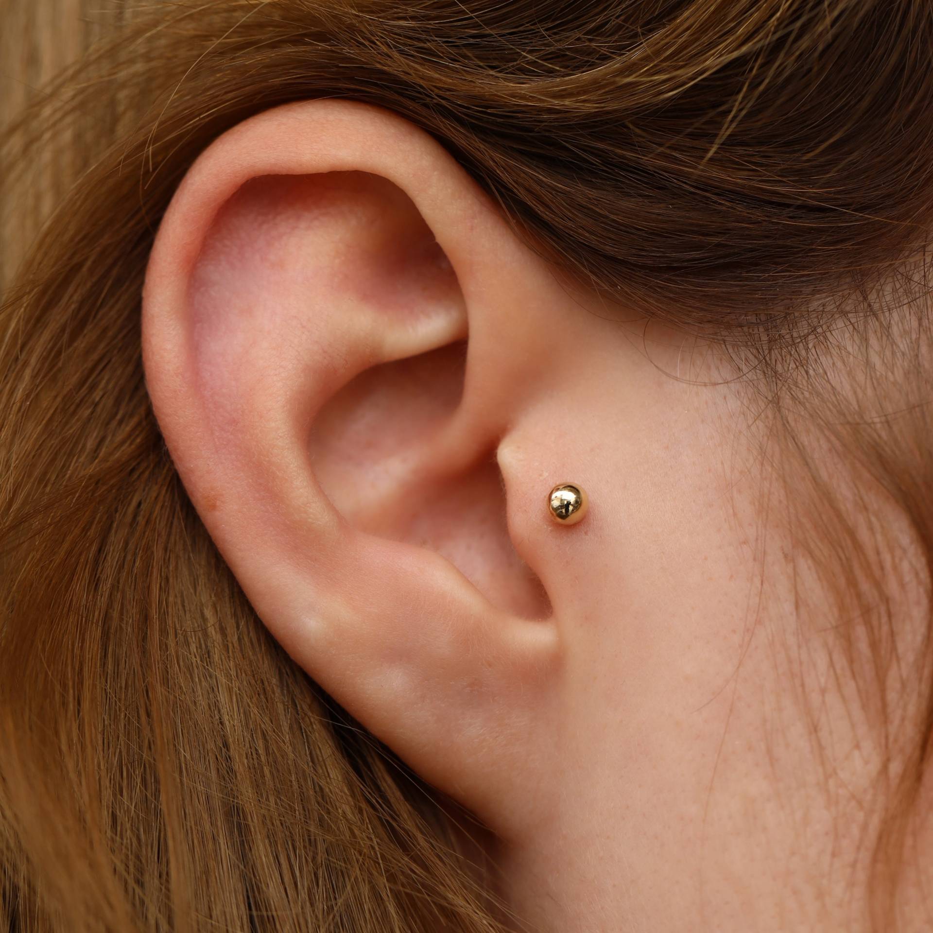 14K Solid Gold Kugel Piercing, Minimalist Tragus Ohrstecker, Knorpel Helix Perfektes Geschenk Für Sie von Maresuijewelry