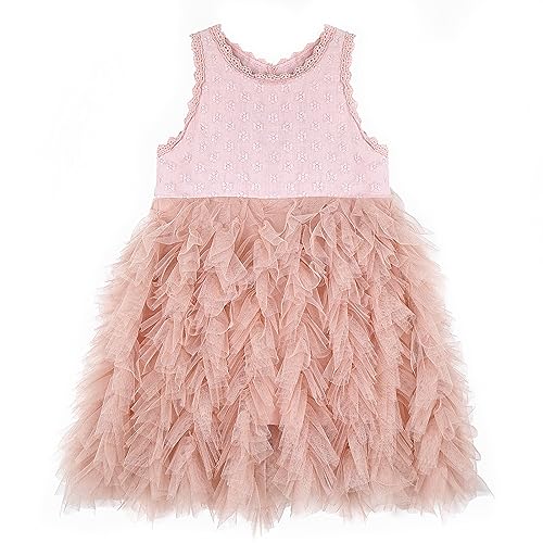 Miipat Baby Girls Kleid Tüll Ärmellose Kleinkind Mädchen Prinzessin Kleider Rüschen Tutu Stickerei Festliches Geburtstags Blumenmädchenkleider Rosa 110 3-4 Jahre von Miipat