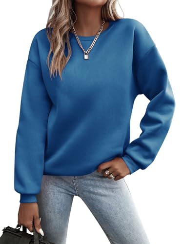 Minetom Pullover Damen Sweatshirt Einfarbige Langarm Rundhals Pulli Herbst Winter Frauen Locker Casual Oberteil Sport Streetwear Sweatshirts ohne Kapuze Langarmshirt B Blau S von Minetom