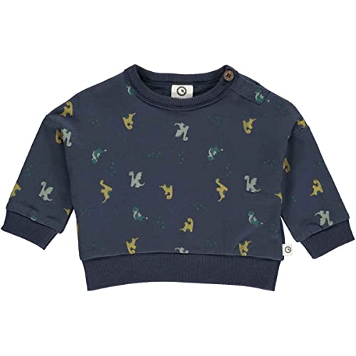 Müsli by Green Cotton Jungen Dragon Sweatshirt Baby Pullover Sweater, Night Blue/Pine/Moss/Spa Green, 62 EU von Müsli by Green Cotton