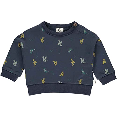 Müsli by Green Cotton Jungen Dragon Sweatshirt Baby Pullover Sweater, Night Blue/Pine/Moss/Spa Green, 74 EU von Müsli by Green Cotton