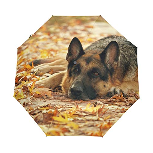 My Daily Regenschirm, Motiv: Deutscher Schäferhund, Herbstblätter, automatisches Öffnen/Schließen, leicht, kompakt, winddicht von My Daily