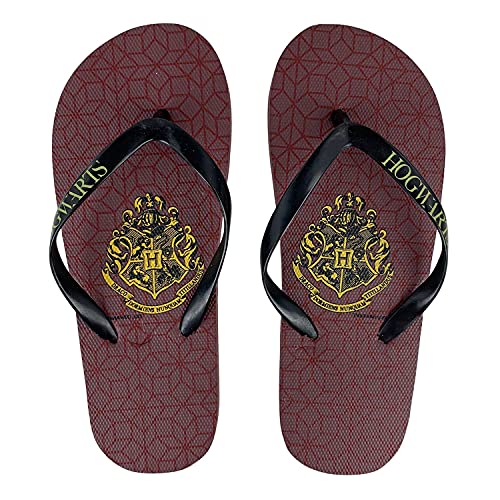 Harry Potter 4272 Flip-Flops aus Gummi für Kinder und Jungen, - Variante 1 - Größe: 30/31 EU von NADA HOME