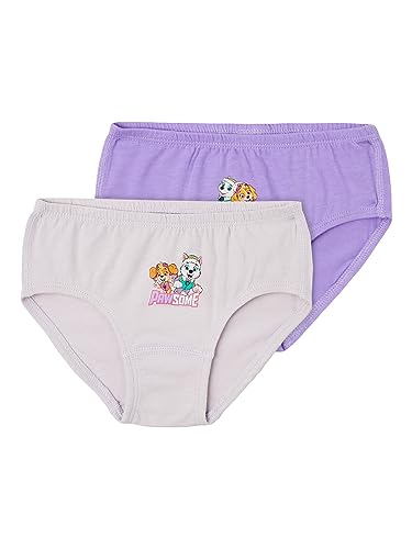 NAME IT Mädchen NMFJUMA PAWPATROL 2P Briefs NOOS CPLG Unterhose, Sand Verbena/Pack:Sand Verbena + Orchid Hush, 110 von NAME IT