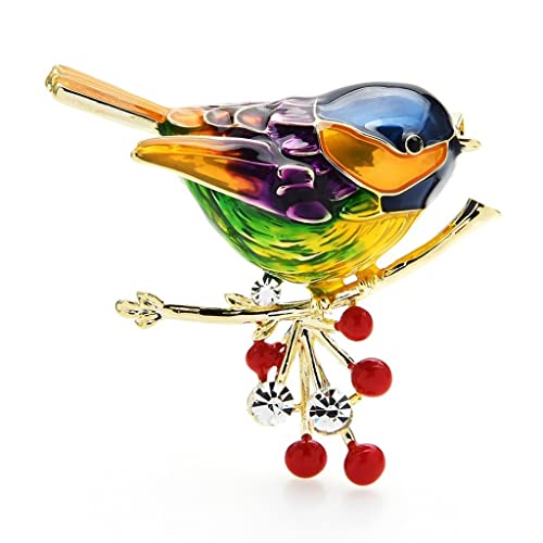 Damen Brosche Elegant Multicolor Bird Brosche Pins Email Broschen Neue Jahr Designer Schmuck Geschenk, 2 Packung Damen Brosche Elegant Vintage (Color : C) von NESPIQ