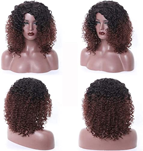 Perücken Synthetische Afro-Lockenhaarperücken, Kurze Lockige Perücken, Hitzebeständige Faser, Kurze Lockige Perücke for Party, Halloween, Cosplay Perücken Damen (Color : F) von NESPIQ