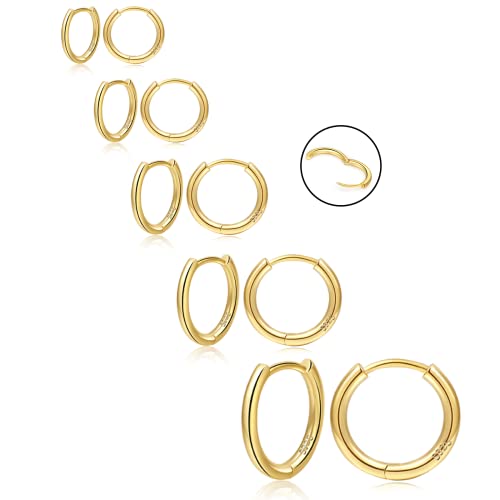 NEVEGE Ohrringe Creolen Gold kleine Ohrringe Gold Creolen für Damen 14K goldete Ohrringe Creolen Hypoallergen Huggie kleine Ohrringe Creolen Leichte Gold Creolen für Damen Mädchen 6/8/10/12/14 mm von NEVEGE