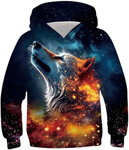 NEWISTAR Pullover Kinder 3D Wolf Druck Jungen Pulli Mädchen Hoodie Sweatshirt Kinder Bunte Wolf Kapuzenshirt Kapuzenpull 14-16 Jahre von NEWISTAR