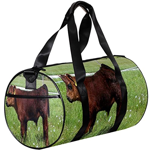 Turnbeutel, kleine Reisetasche, Sport-Einkaufstasche für Yoga, Gras, Tiere, Rinder, Outdoor-Fitnesstasche, Handgepäck von NLWQEKV