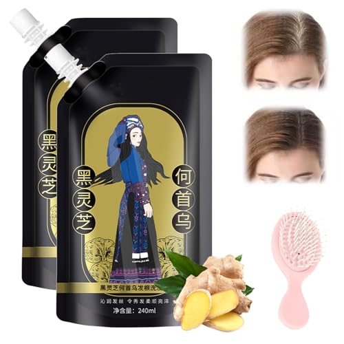 NNBWLMAEE Ginger Plant Extract Anti-Hair Loss Hair Shampoo, Polygonum Multiflorum Oil Control Anti-Dandruff Shampoo, Anti-Hair Loss Hair Shampoo for Women & Men, Oil Control Anti-Dandruff (2pcs) von NNBWLMAEE