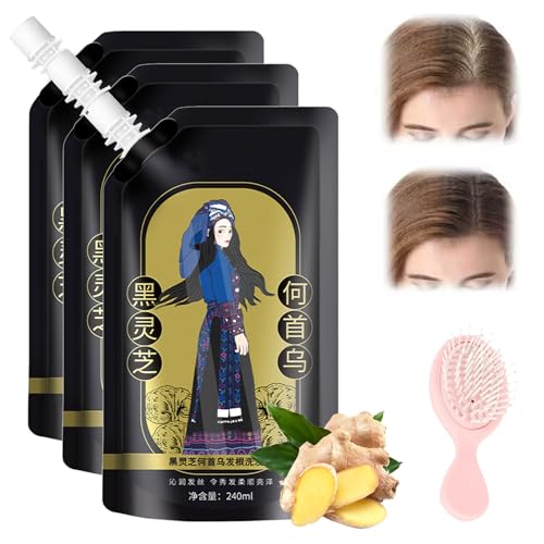 NNBWLMAEE Ginger Plant Extract Anti-Hair Loss Hair Shampoo, Polygonum Multiflorum Oil Control Anti-Dandruff Shampoo, Anti-Hair Loss Hair Shampoo for Women & Men, Oil Control Anti-Dandruff (3pcs) von NNBWLMAEE