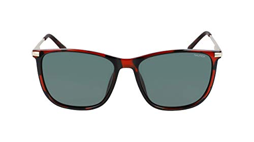 Nautica Herren N3660SP Sunglasses, Dark Tortoise, Einheitsgröße von Nautica