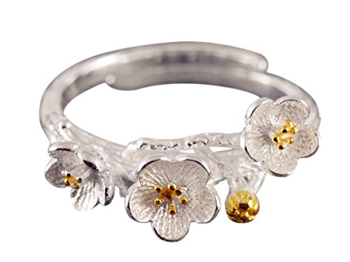 NicoWerk PREMIUM Damen Silberring aus 925 Sterling Silber - Mit zarten Blumen verziert und vergoldet - Ring verstellbar - inkl. Geschenkverpackung - Designed in Germany - SRI132 NicoWerk PREMIUM Damen Silberring aus 925 Sterling Silber - Mit zarten Blumen verziert und vergoldet - Ring verstellbar - inkl. Geschenkverpackung - Designed in Germany - SRI132 von NicoWerk
