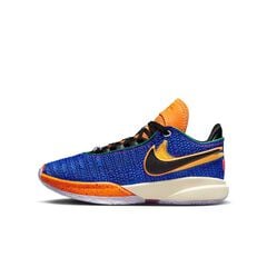 Kinder Basketballschuhe NBA LEBRON XX von Nike