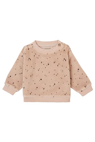 Noppies Unisex Baby Sweater Gaspe Long Sleeve Pullover, Mushroom - N240, 50 EU Noppies Unisex Baby Sweater Gaspe Long Sleeve Pullover, Mushroom - N240, 50 EU von Noppies
