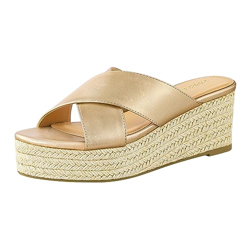 PIZZ ANNU Sandalen Damen Espadrilles Plateau Keilabsatz Frauen Keilsandalen Sandaletten Sommer Schuhe Hausschuhe Pantoletten Elegant Champagner EU 39.5 Schmal von PIZZ ANNU