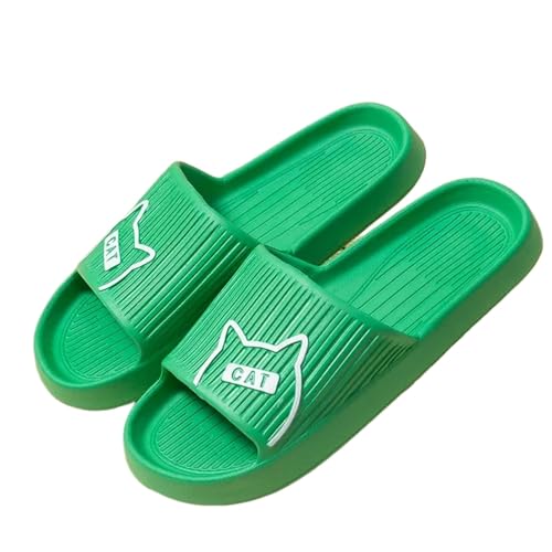 PLOZINDA Hausschuhe Damen Frauen Hausschuhe Haus Sandalen Flip Flops Strand Männer Sommer Paar Unisex No-slip-objektträger-cat-2 Grün-42-43 von PLOZINDA