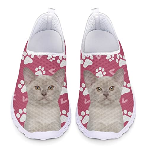 POLERO Slip-On-Schuhe für Frauen, niedliche Katze Walking-Schuhe für Freizeit, Arbeit Flache Mesh-Schuhe, leichte Wasserschuhe, EU37 von POLERO