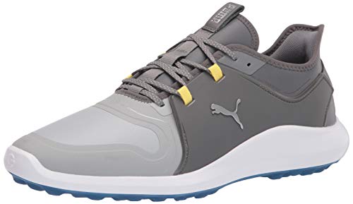 PUMA Herren Ignite Fasten8 Pro Golfschuh, High Rise Silver Silent Shade, 42 EU von PUMA