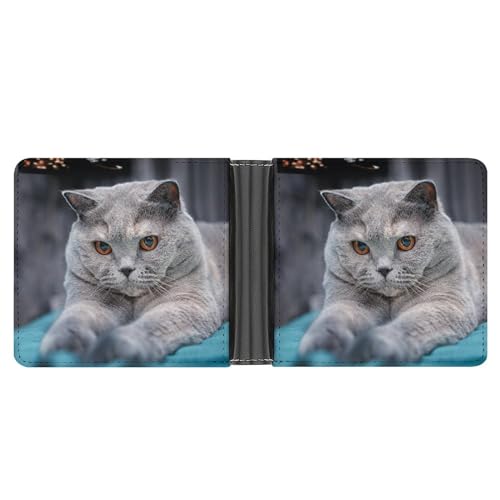 PWIKJZ Brieftasche Katze Herren Bifold Geldbörsen Portable Leder Geldbörse Kartenhalter von PWIKJZ