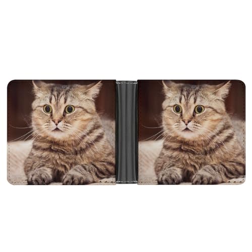 PWIKJZ Brieftasche Katze Herren Bifold Geldbörsen Portable Leder Geldbörse Kartenhalter von PWIKJZ