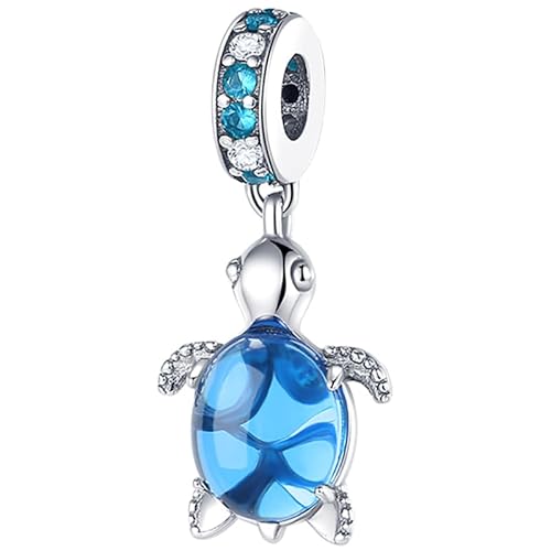 Panderu Charm Anhänger 925 Sterling Silber für Pandora Armbänder, S925 Bead Charms with 5A Cubic Zirconioa kompatibel mit Europäische Armbänder Halskette von Panderu