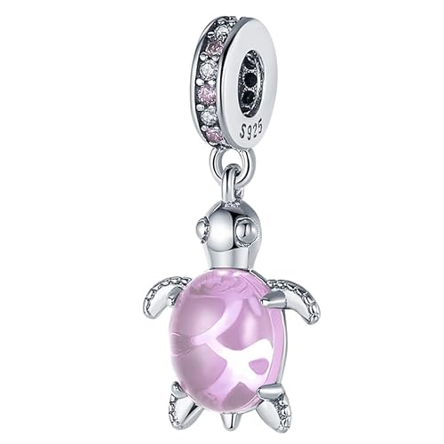 Panderu Charm Anhänger 925 Sterling Silber für Pandora Armbänder, S925 Bead Charms with 5A Cubic Zirconioa kompatibel mit Europäische Armbänder Halskette von Panderu