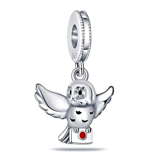 Panderu Charm Anhänger 925 Sterling Silber für Pandora Armbänder, S925 Bead Charms with 5A Cubic Zirconioa kompatibel mit Europäische Armbänder Halskette von Panderu