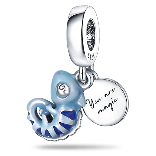 Panderu Charm Anhänger 925 Sterling Silber für Pandora Armbänder, S925 Bead Charms with 5A Cubic Zirconioa kompatibel mit Europäische Armbänder Halskette von Panderu