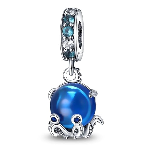 Panderu Charm Anhänger 925 Sterling Silber für Pandora Armbänder, S925 Bead Charms with 5A Cubic Zirconioa kompatibel mit Europäische Armbänder Halskette von Panderu