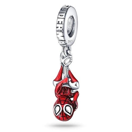 Panderu Charm Anhänger 925 Sterling Silber für Pandora Armbänder, S925 Bead Charms with 5A Cubic Zirconioa kompatibel mit Europäische Armbänder Halskette von Panderu