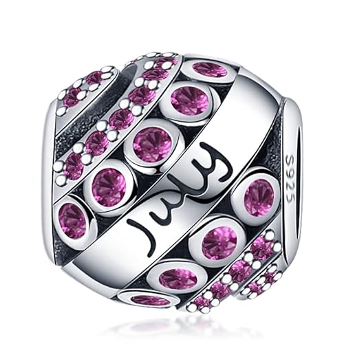 Panderu Charm Anhänger Geburtsstein 925 Sterling Silber für Pandora Armbänder, S925 Bead Charms with 5A Cubic Zirconioa kompatibel mit Europäische Armbänder Halskette von Panderu