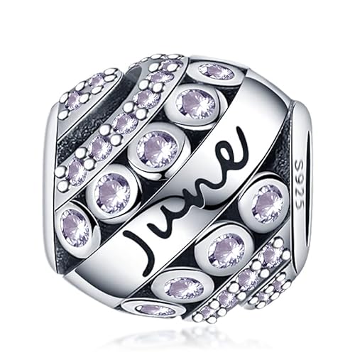 Panderu Charm Anhänger Geburtsstein 925 Sterling Silber für Pandora Armbänder, S925 Bead Charms with 5A Cubic Zirconioa kompatibel mit Europäische Armbänder Halskette von Panderu