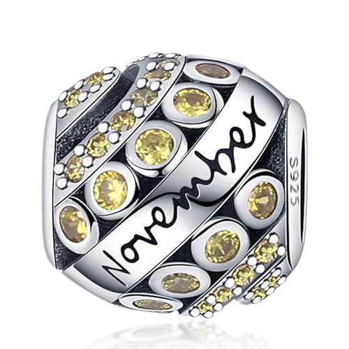 Panderu Charm Anhänger Geburtsstein 925 Sterling Silber für Pandora Armbänder, S925 Bead Charms with 5A Cubic Zirconioa kompatibel mit Europäische Armbänder Halskette von Panderu