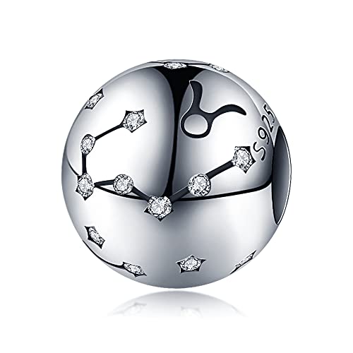 Panderu Charm Anhänger Sternzeichen 925 Sterling Silber für Pandora Armbänder, S925 Bead Charms 12 Konstellationen with 5A Cubic Zirconioa kompatibel mit Europäische Armbänder Halskette von Panderu