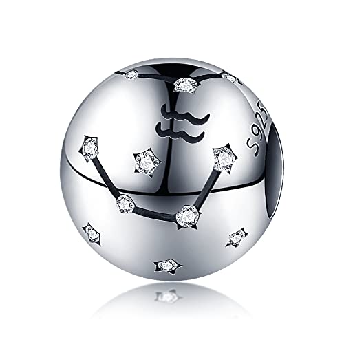 Panderu Charm Anhänger Sternzeichen 925 Sterling Silber für Pandora Armbänder, S925 Bead Charms 12 Konstellationen with 5A Cubic Zirconioa kompatibel mit Europäische Armbänder Halskette von Panderu