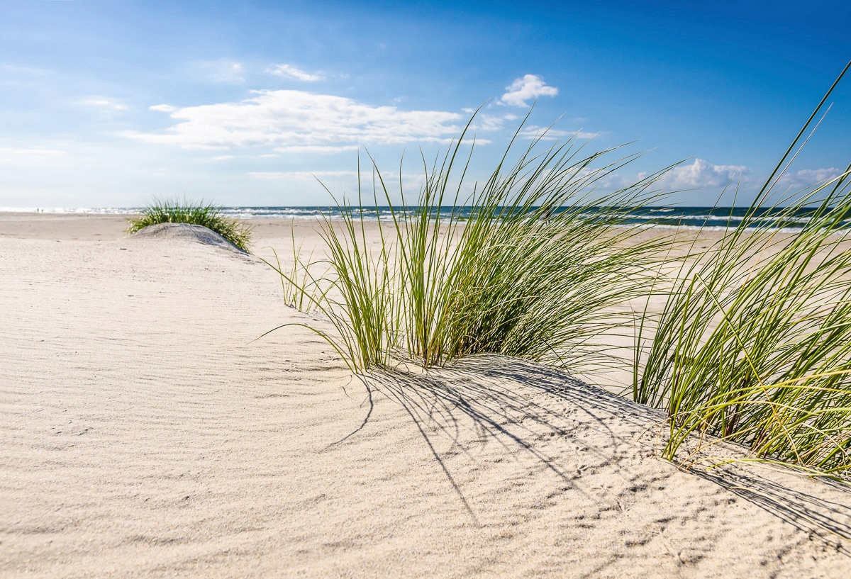 Papermoon Fototapete "DÜNEN-NATUR NORD SEE SAND STRAND MEER WÜSTE LANDSCHAFT" Papermoon Fototapete "DÜNEN-NATUR NORD SEE SAND STRAND MEER WÜSTE LANDSCHAFT" von Papermoon