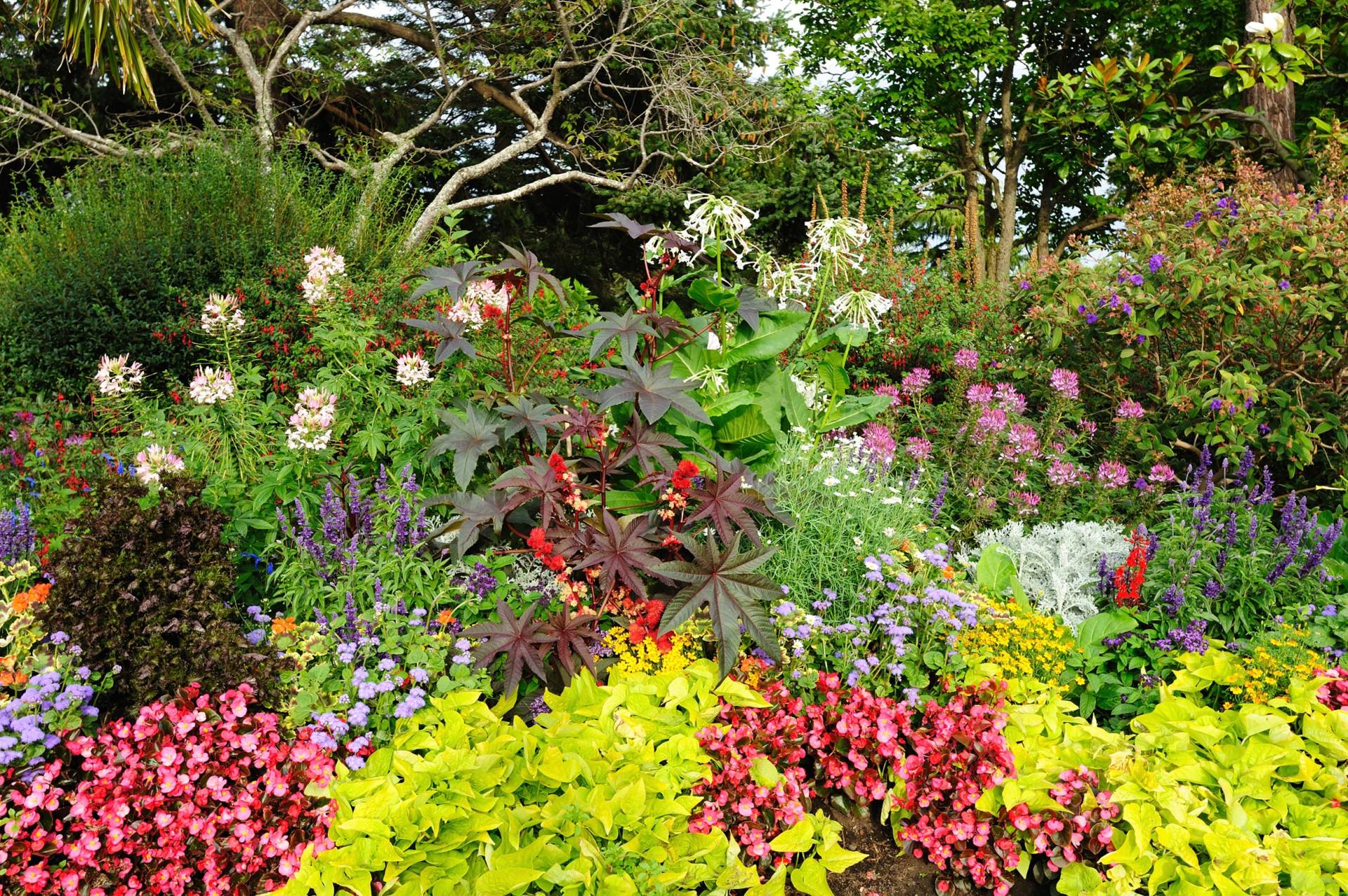 Papermoon Fototapete "GARTEN-BÄUME BLUMEN PFLANZEN PARK STEINE WALD BLÜTEN" Papermoon Fototapete "GARTEN-BÄUME BLUMEN PFLANZEN PARK STEINE WALD BLÜTEN" von Papermoon