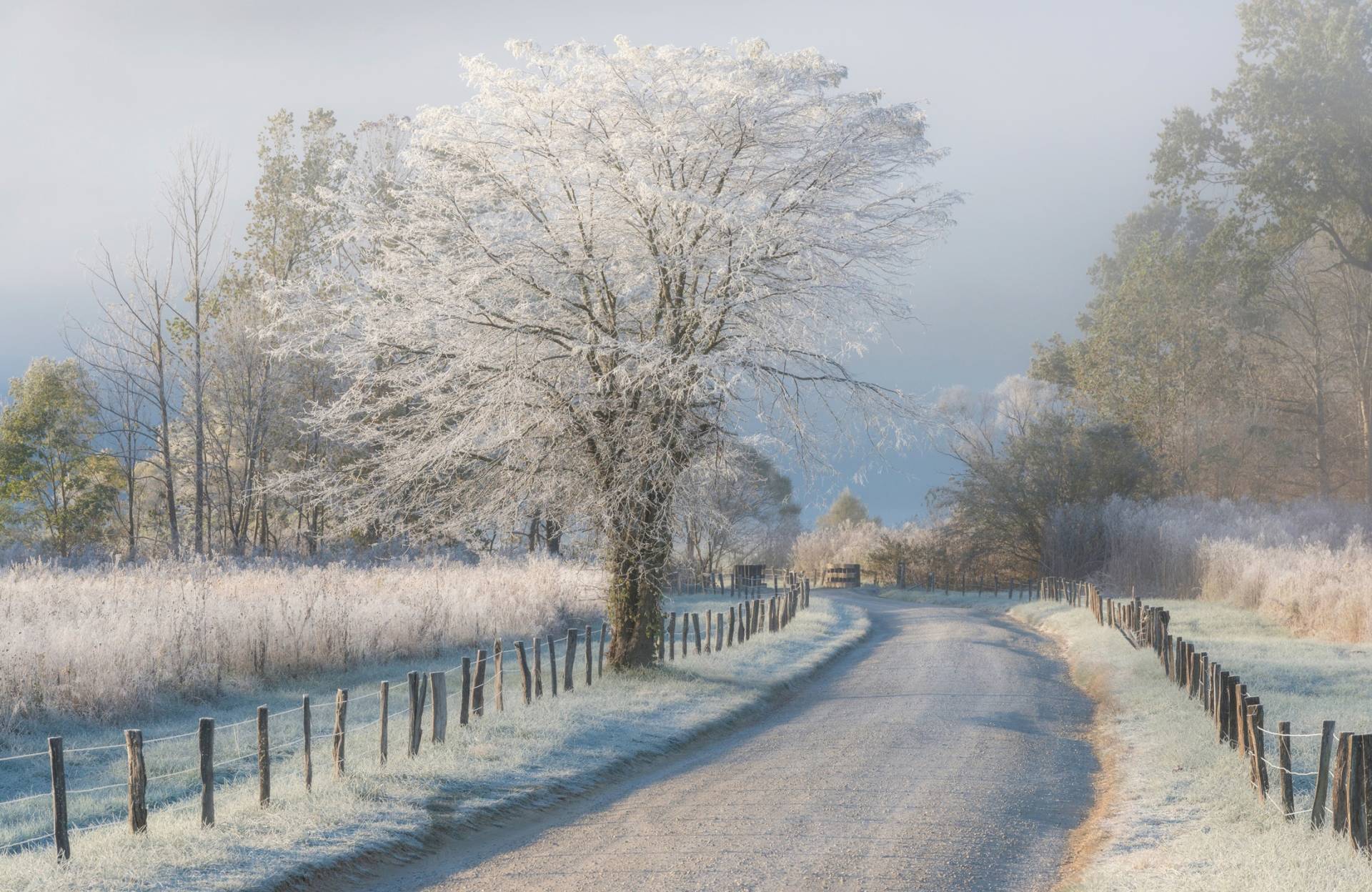 Papermoon Fototapete "Photo-Art CHRIS MOORE, EIN FROSTIGER MORGEN" Papermoon Fototapete "Photo-Art CHRIS MOORE, EIN FROSTIGER MORGEN" von Papermoon