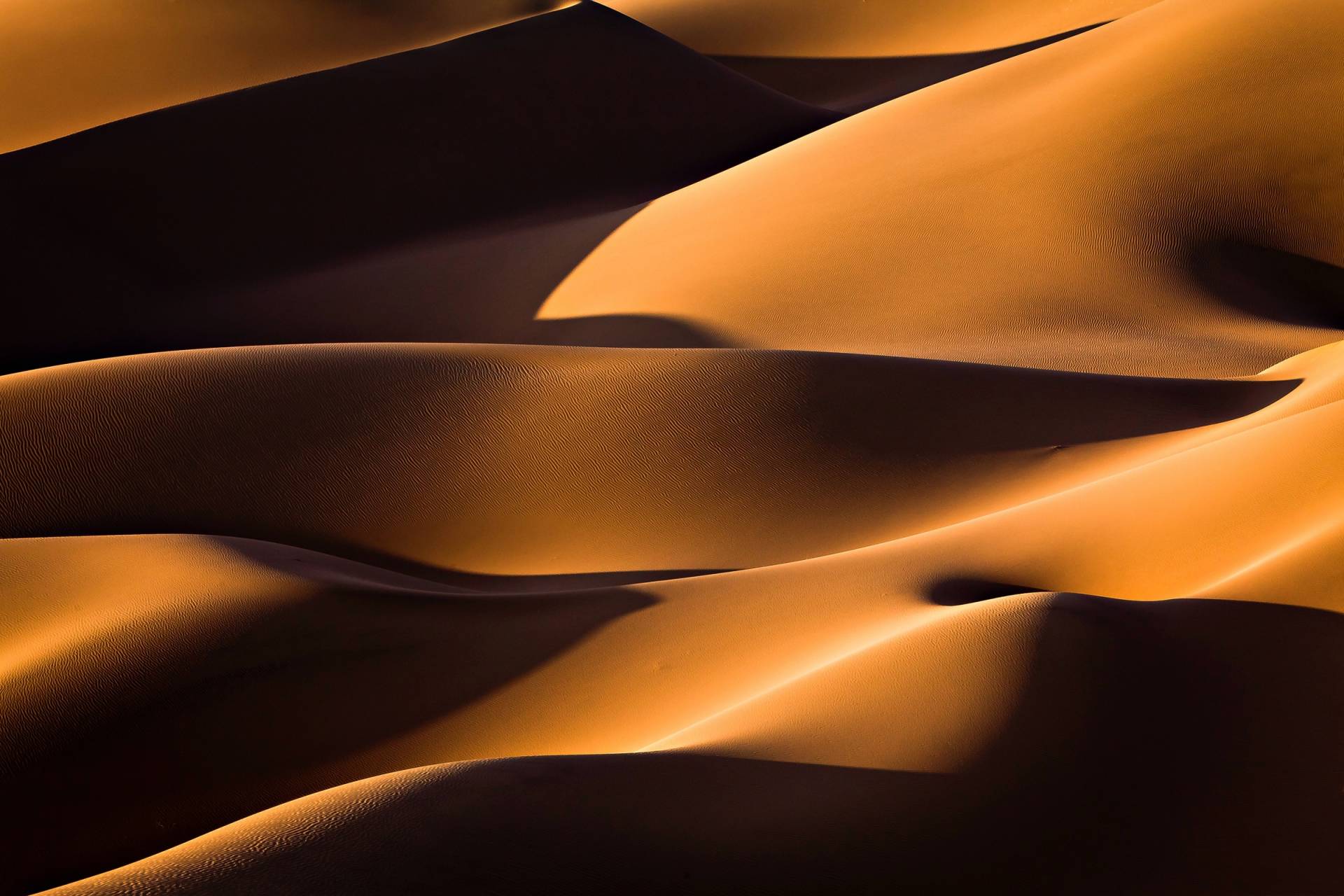 Papermoon Fototapete "Photo-Art MOHAMMADREZA MOMENI, LICHT UND SCHATTEN" Papermoon Fototapete "Photo-Art MOHAMMADREZA MOMENI, LICHT UND SCHATTEN" von Papermoon