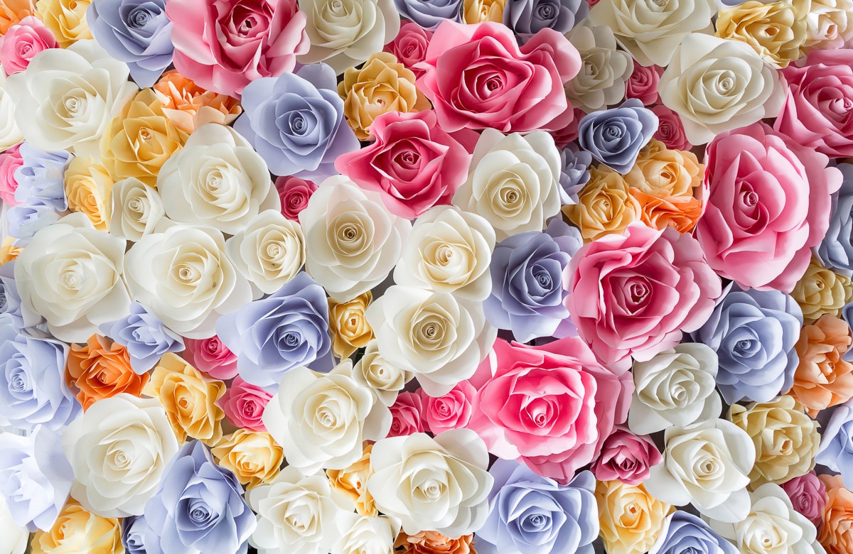 Papermoon Fototapete "ROSEN-BLUMEN ABSTRAKT TEXTUR MUSTER FARBIG DEKO GARTEN" Papermoon Fototapete "ROSEN-BLUMEN ABSTRAKT TEXTUR MUSTER FARBIG DEKO GARTEN" von Papermoon