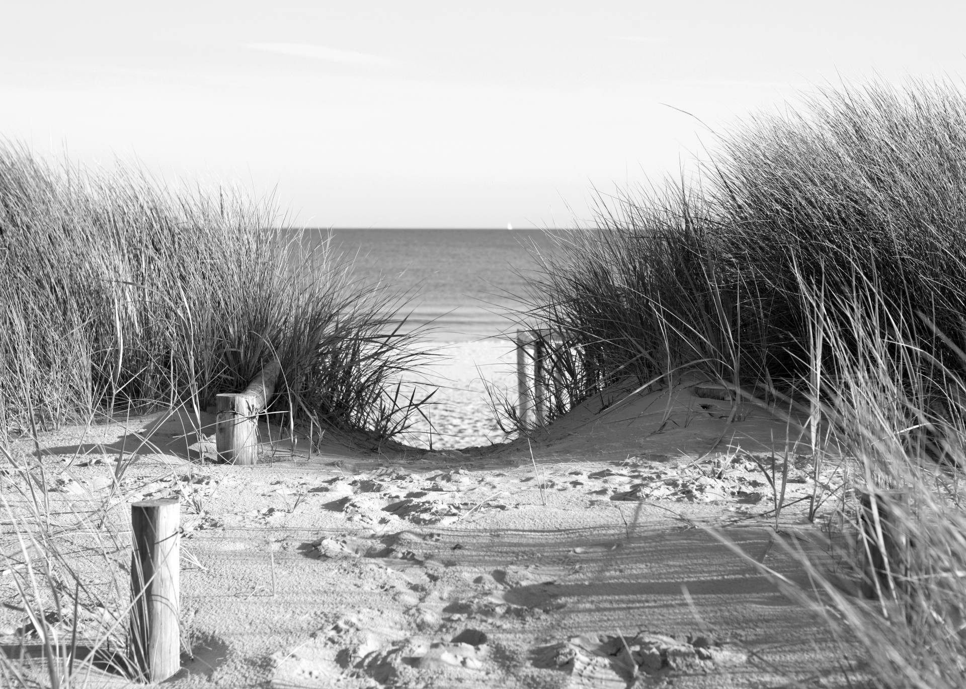 Papermoon Fototapete "Strand Schwarz & Weiß" Papermoon Fototapete "Strand Schwarz & Weiß" von Papermoon