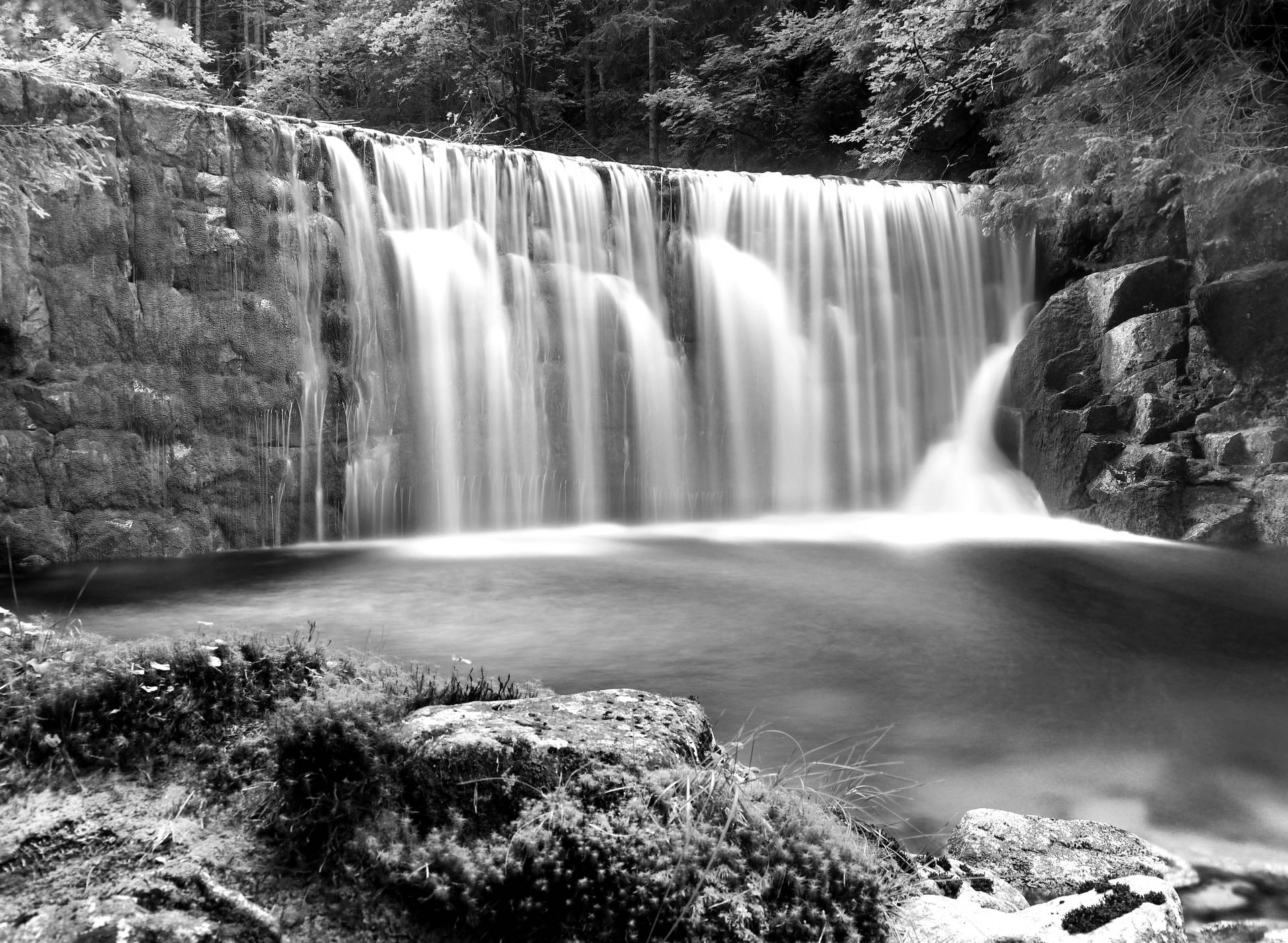 Papermoon Fototapete "Wasserfall im Wald Schwarz & Weiß" von Papermoon