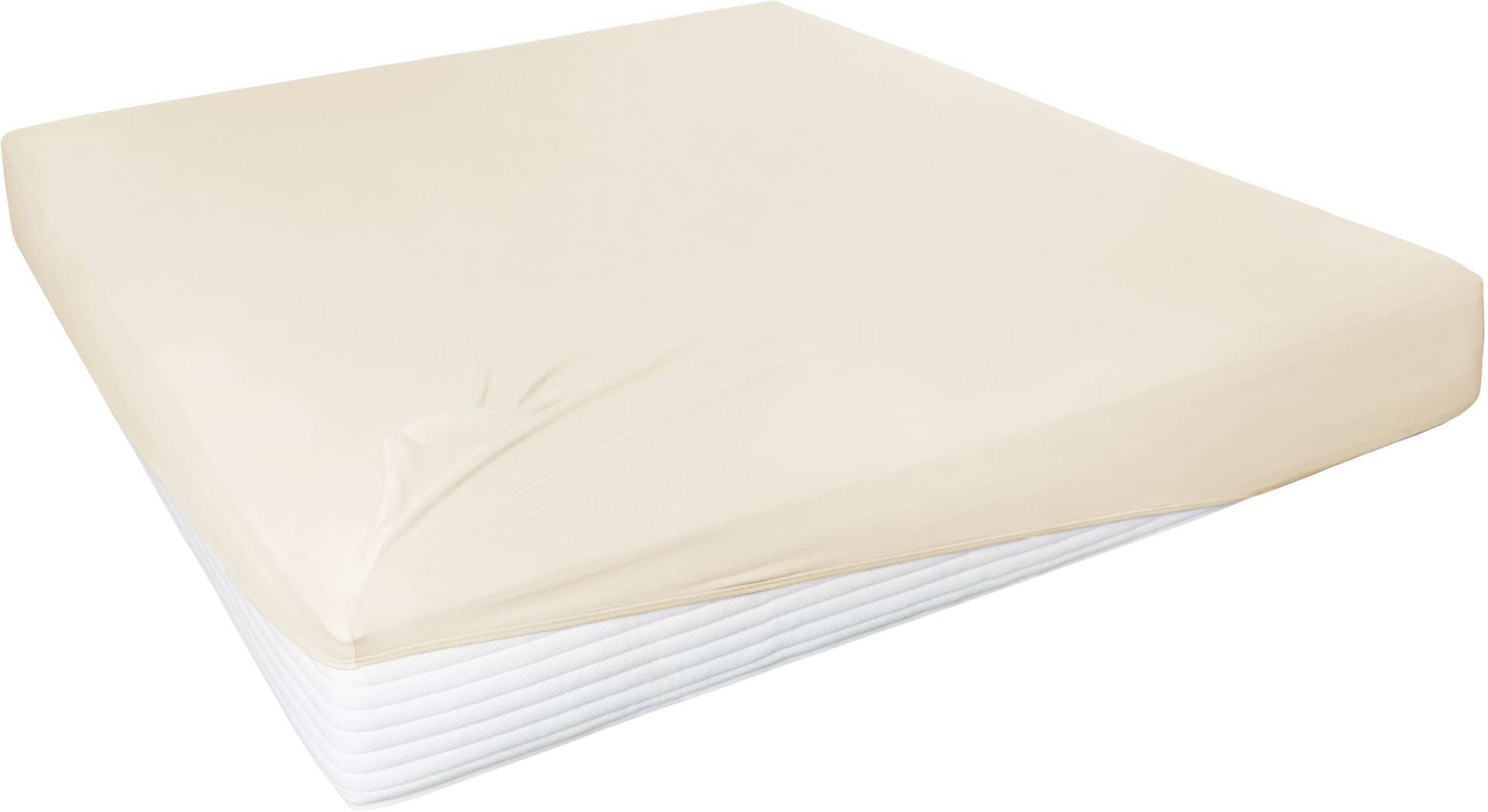 Primera Spannbettlaken "Elasthan-Feinjersey", PREMIUM, aus 95% gekämmter Baumwolle und 5% Elasthan, bis 28 cm Höhe Primera Spannbettlaken "Elasthan-Feinjersey", PREMIUM, aus 95% gekämmter Baumwolle und 5% Elasthan, bis 28 cm Höhe von Primera