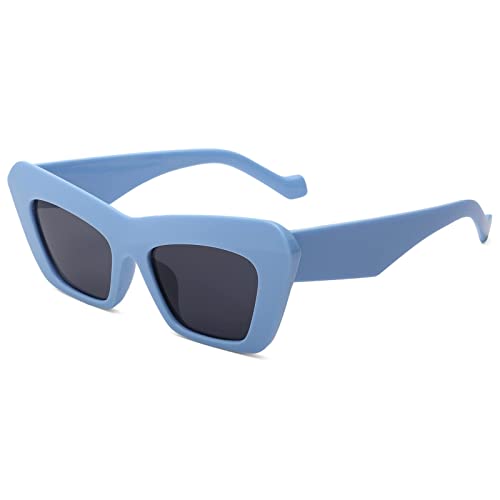 Pro Acme Vintage Square Cat Eye Sonnenbrille für Damen Herren 70er Sonnenbrille Cat Eye Dicker Rahmen Brillen (Blau) von Pro Acme
